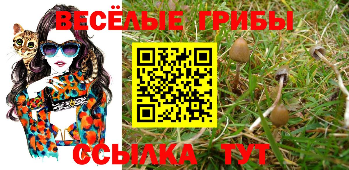 Галлюциногенные грибы Cubensis Верхний Уфалей