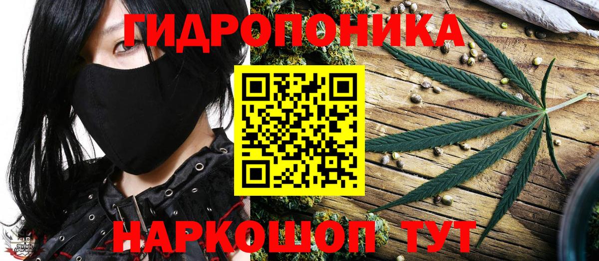 Шишки марихуана SATIVA & INDICA  Конопля план  Верхний Уфалей  Вход с VPN 